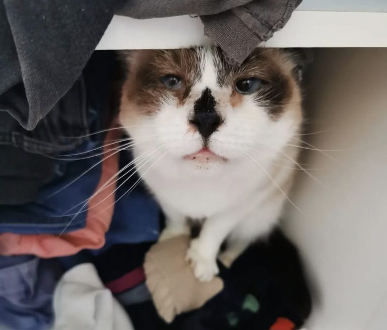 Atrius – Our Baby Boy.