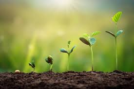 Moving Forward—With Intention