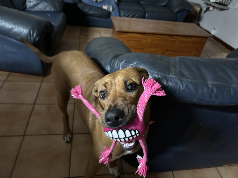 Zara – My Big Baby Girl